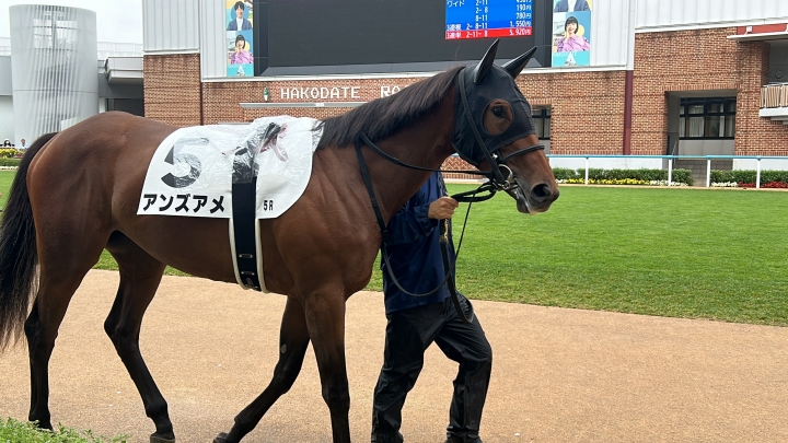 2024年7月 アンズアメ