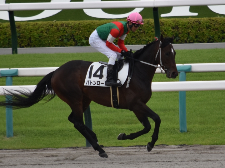６戦目返し馬 バトンロード