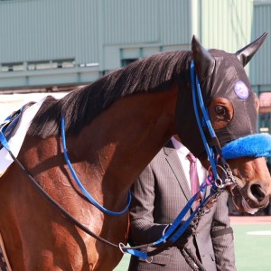 2025/2/27 ツインシャイン特別(3歳)