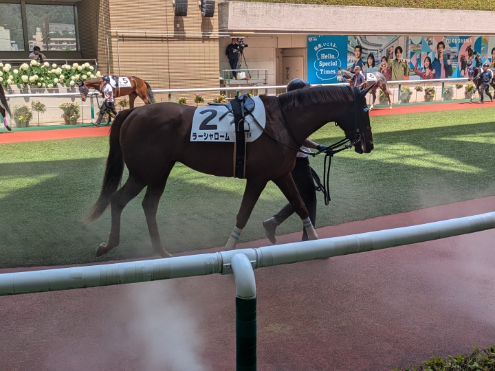 福島2R ３歳未勝利パドック ラーシャローム