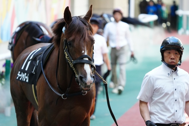 2026/4/19 奥の細道特別(2勝クラス) ラーシャローム