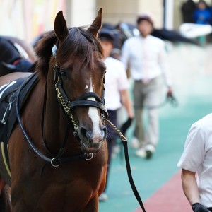 2026/4/19 奥の細道特別(2勝クラス)