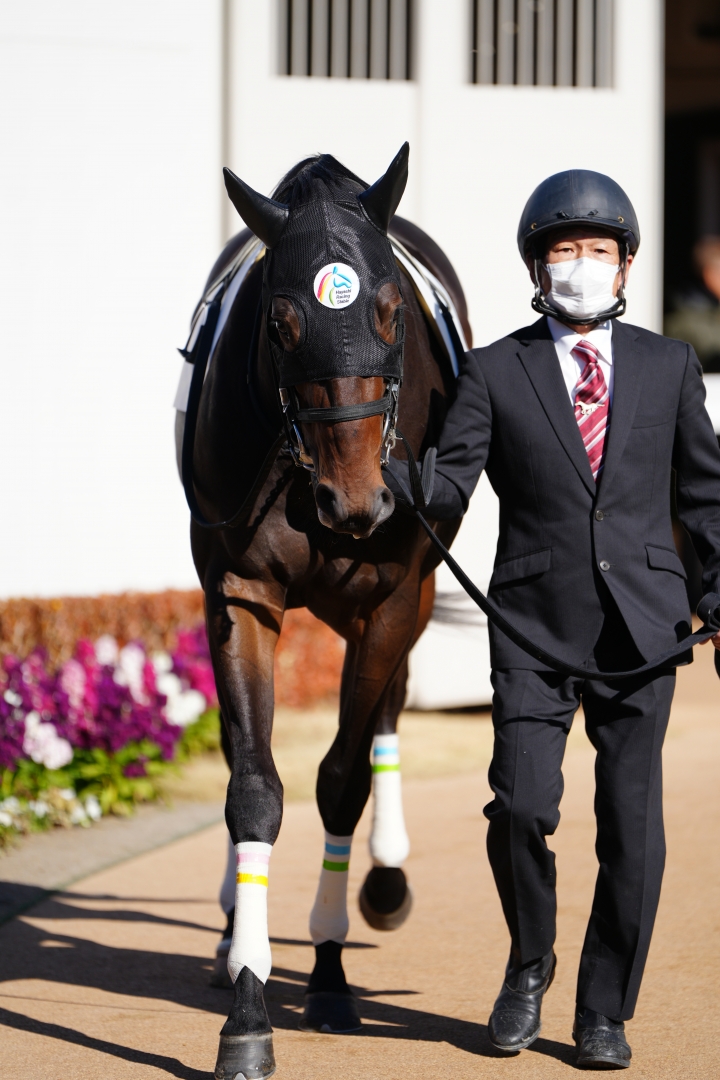 2025/1/13 3歳新馬 スヴァローグ