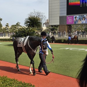デビュー戦　小倉３歳未勝利