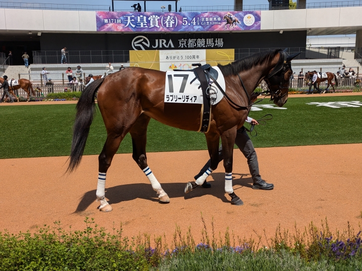 京都3R ３歳未勝利パドック ラブリーリディア