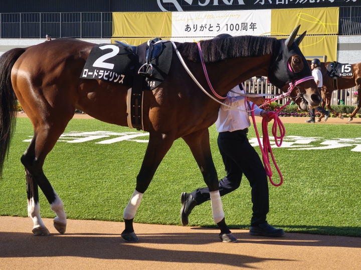 元気いっぱいだったロードラビリンス ロードラビリンス