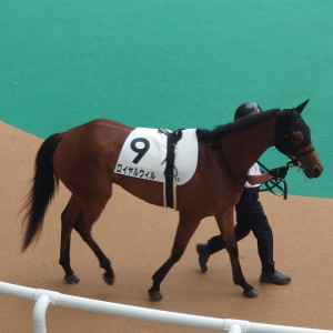 2025/6/15 3歳未勝利