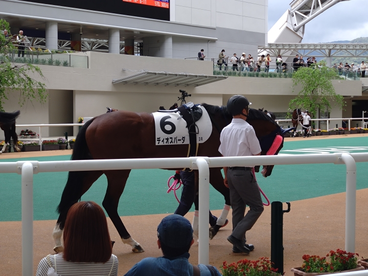 2025年4月 ディオスパーダ