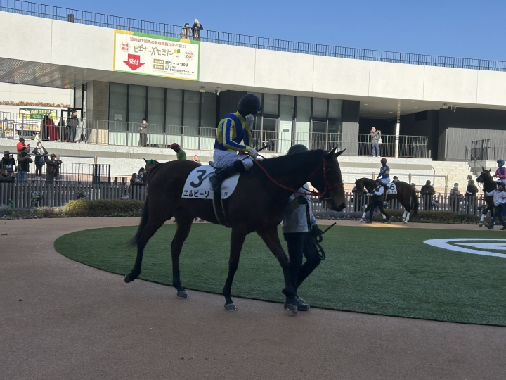 ８着　よく頑張りました エルピーゾ