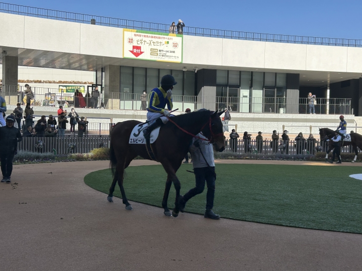 ８着　よく頑張りました エルピーゾ