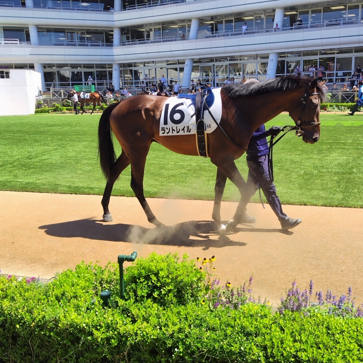 2024年9月 ラントレイル