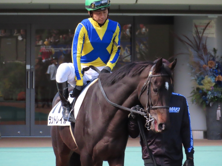 2024年11月 ラントレイル