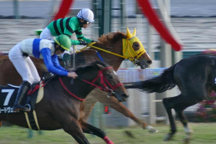 2024年12月 ハイファイスピード