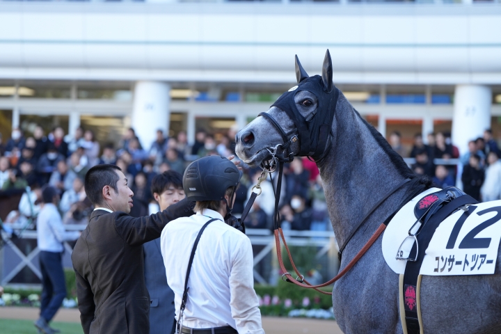 2024/12/1 2歳新馬 コンサートツアー