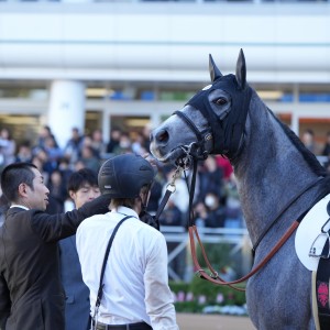 2024/12/1 2歳新馬