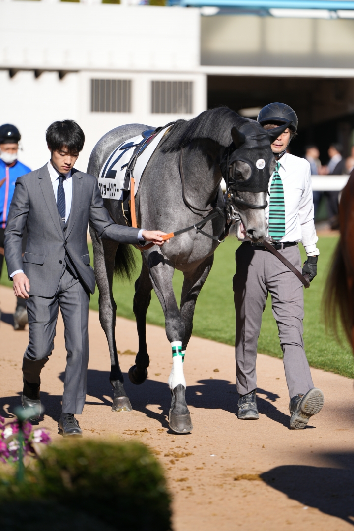 2024/12/1 2歳新馬 コンサートツアー