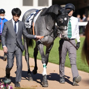 2024/12/1 2歳新馬