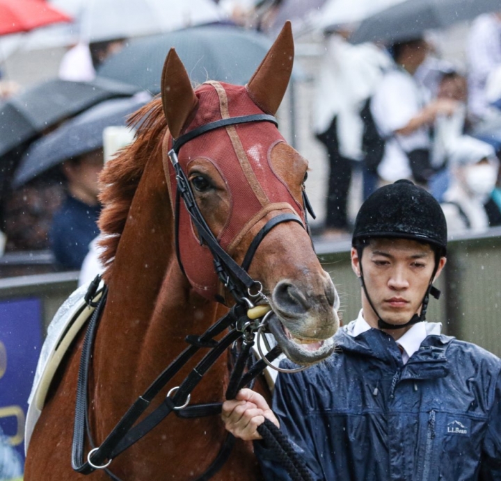 2024/10/5 2歳未勝利 コンフォルツァ