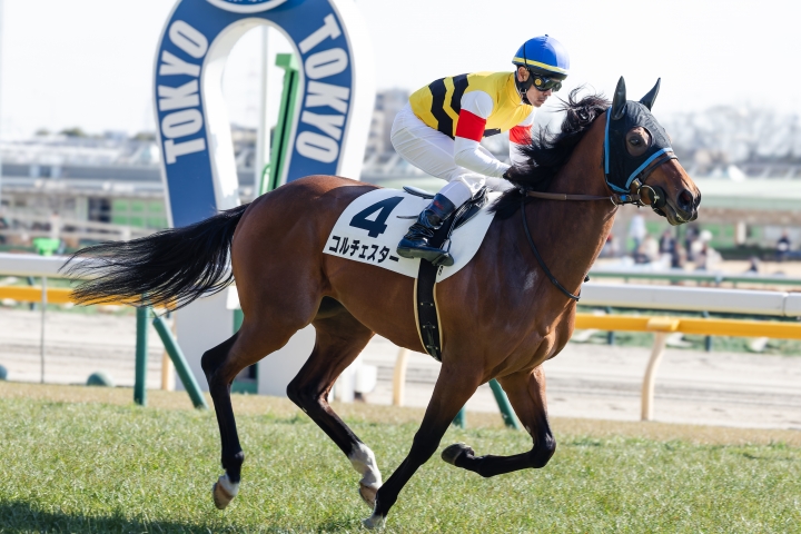 2025/2/15 3歳1勝クラス コルチェスター