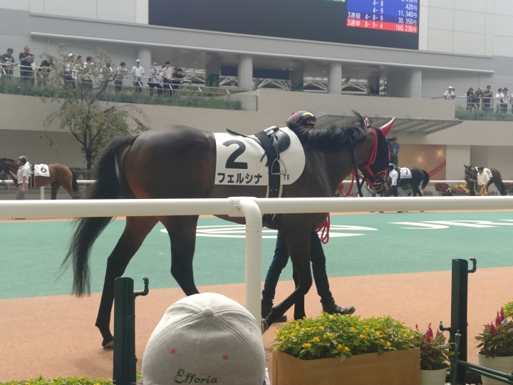 2025年9月 フェルシナ