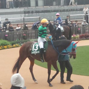 2025/11/9 みやこS(G3)