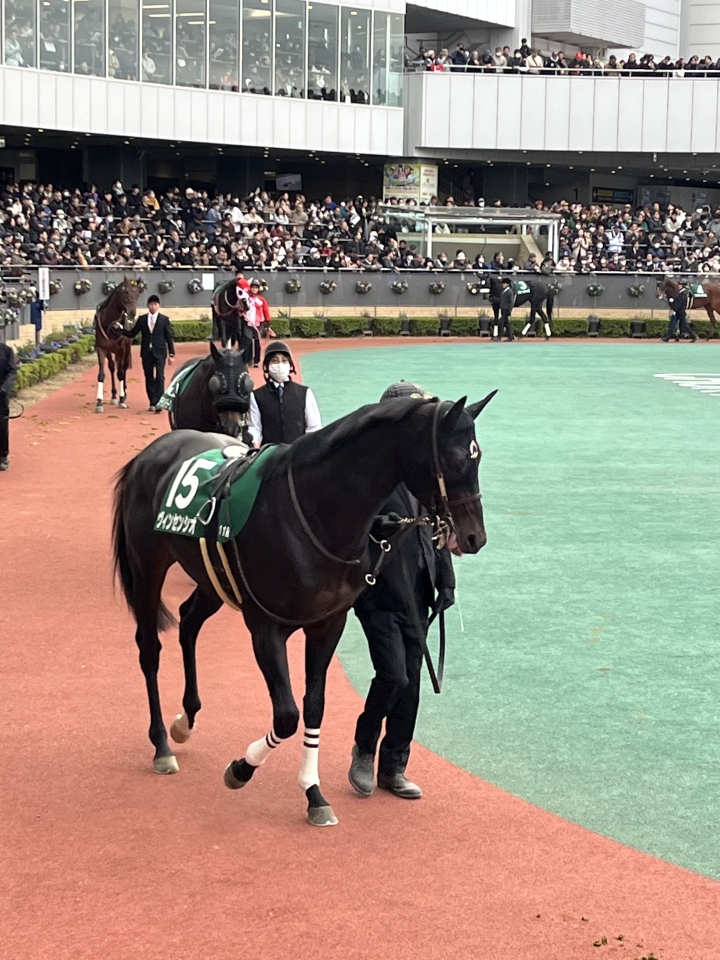 2025/12/13 中日新聞杯(G3) ヴィンセンシオ