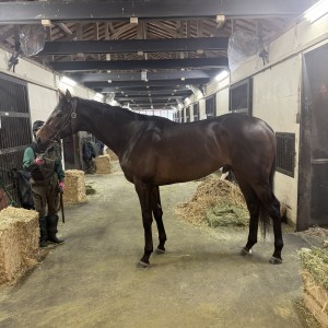 ノーザンファーム天栄