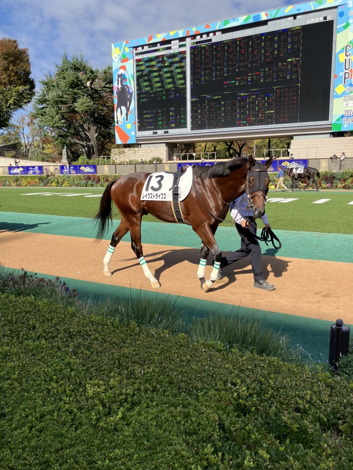 新馬　東京競馬場D1600 レイクストライプス