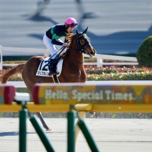 2025/2/1 3歳1勝クラス