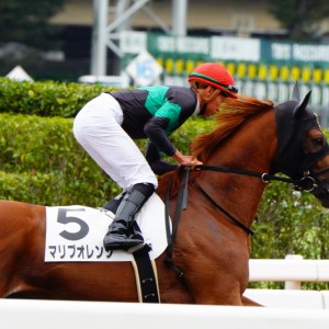 新馬戦返し馬