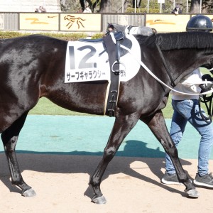 2025/2/16 3歳新馬