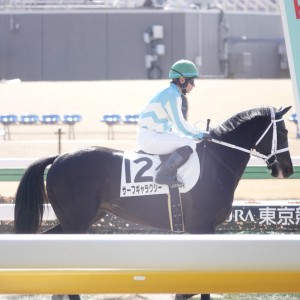 2025/2/16 3歳新馬
