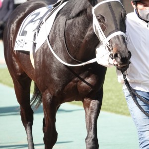 2025/2/16 3歳新馬
