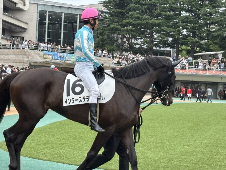 騎乗後 インターステラ