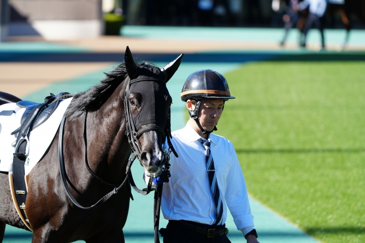 2024/11/24 2歳新馬 モンドエトワール