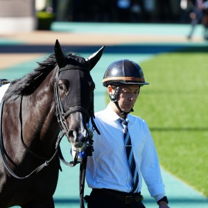 2024/11/24 2歳新馬