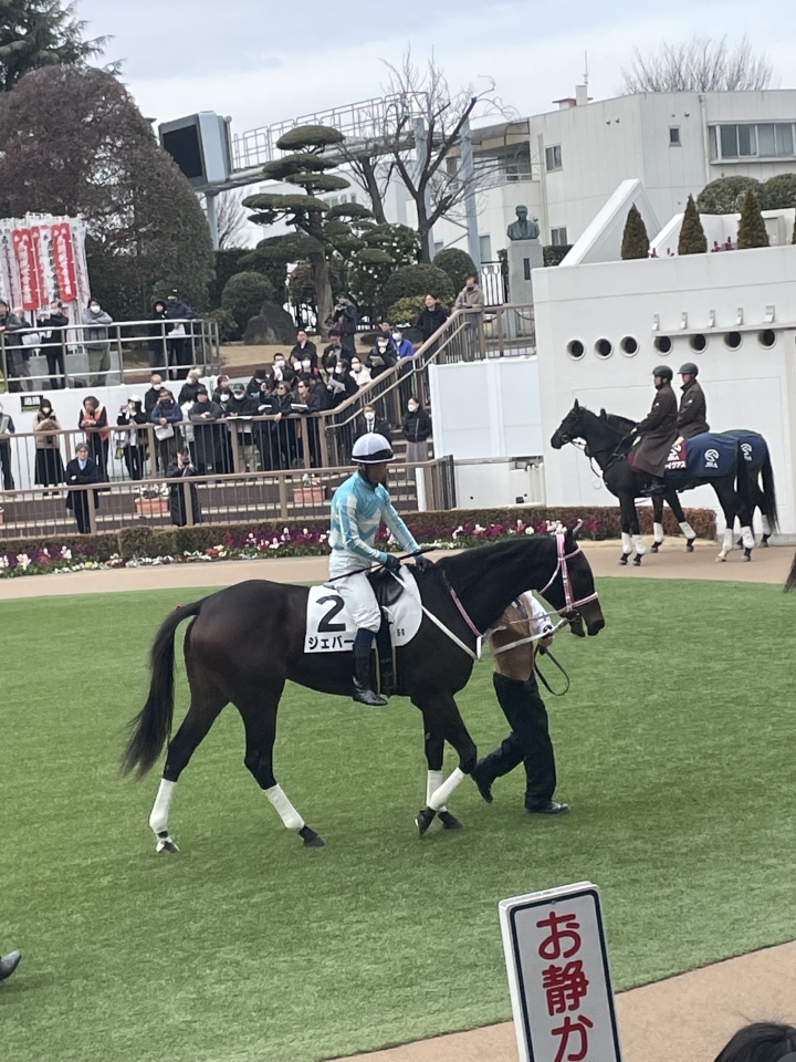 中山で新馬戦ーデビューです！ ジェバーダ