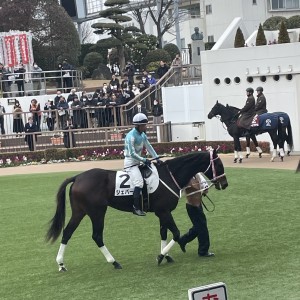 中山で新馬戦ーデビューです！