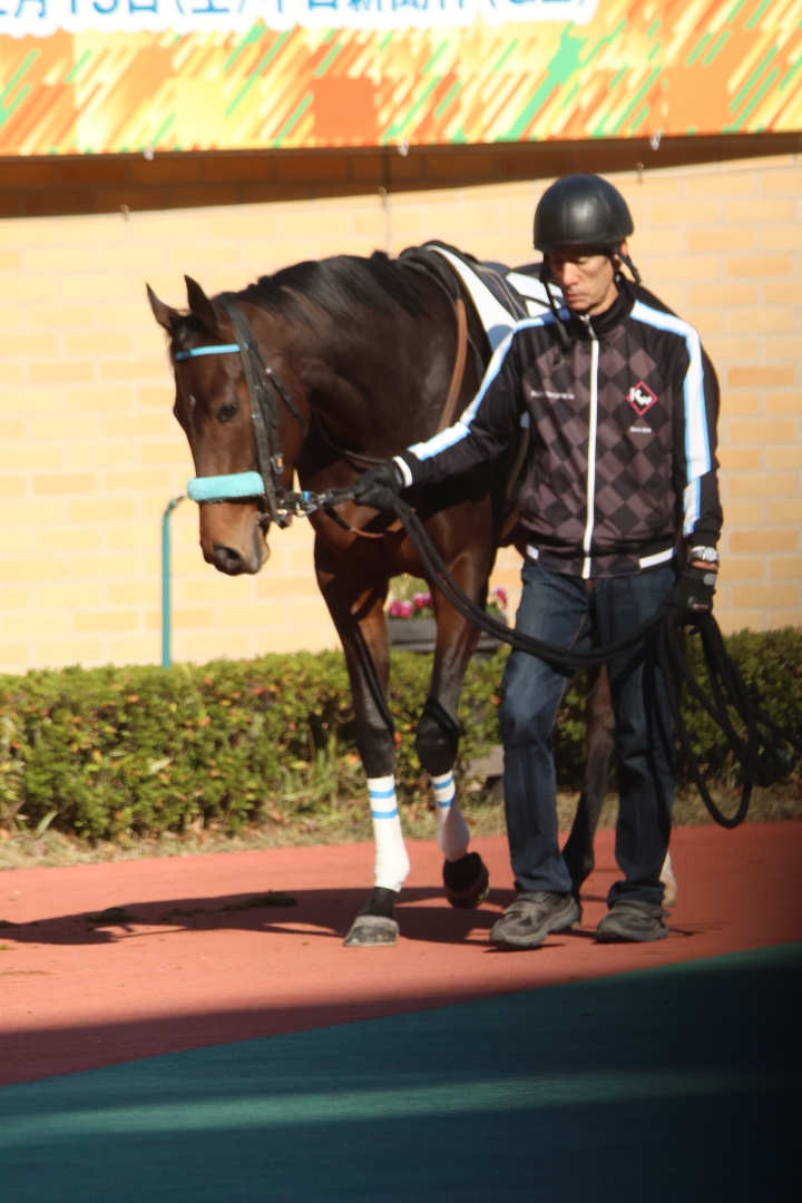 2025/12/7 2歳未勝利 ハッピーローヴァー