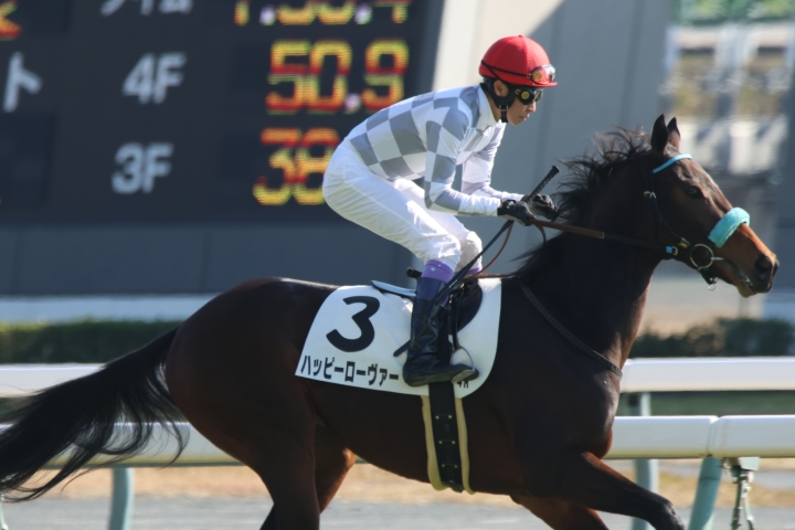 2025年12月 ハッピーローヴァー