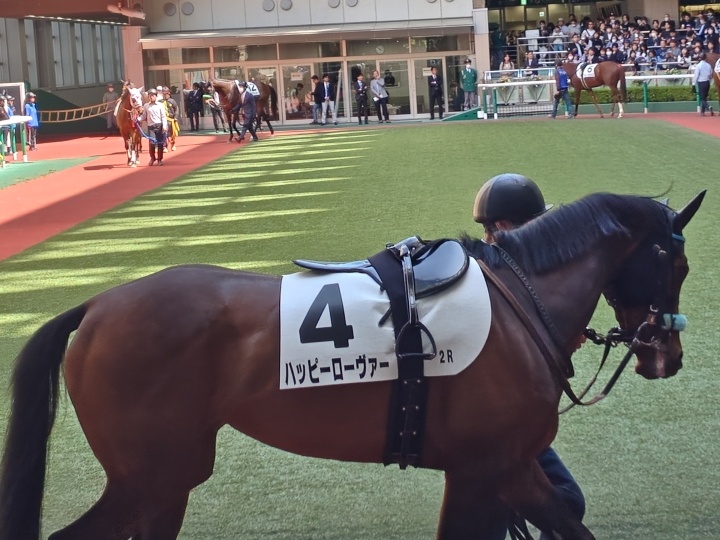 2026/4/26 3歳未勝利 ハッピーローヴァー