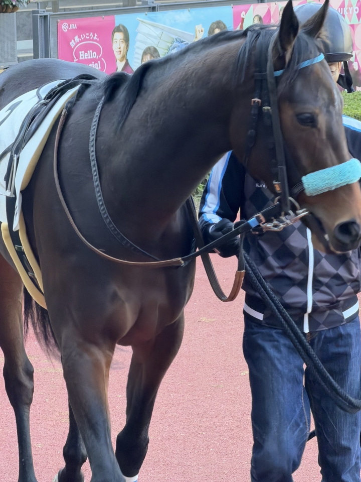 2025/12/7 2歳未勝利 ハッピーローヴァー