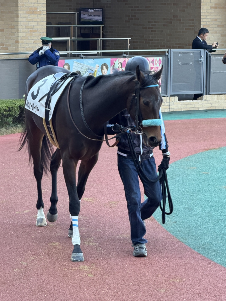 2025/12/7 2歳未勝利 ハッピーローヴァー