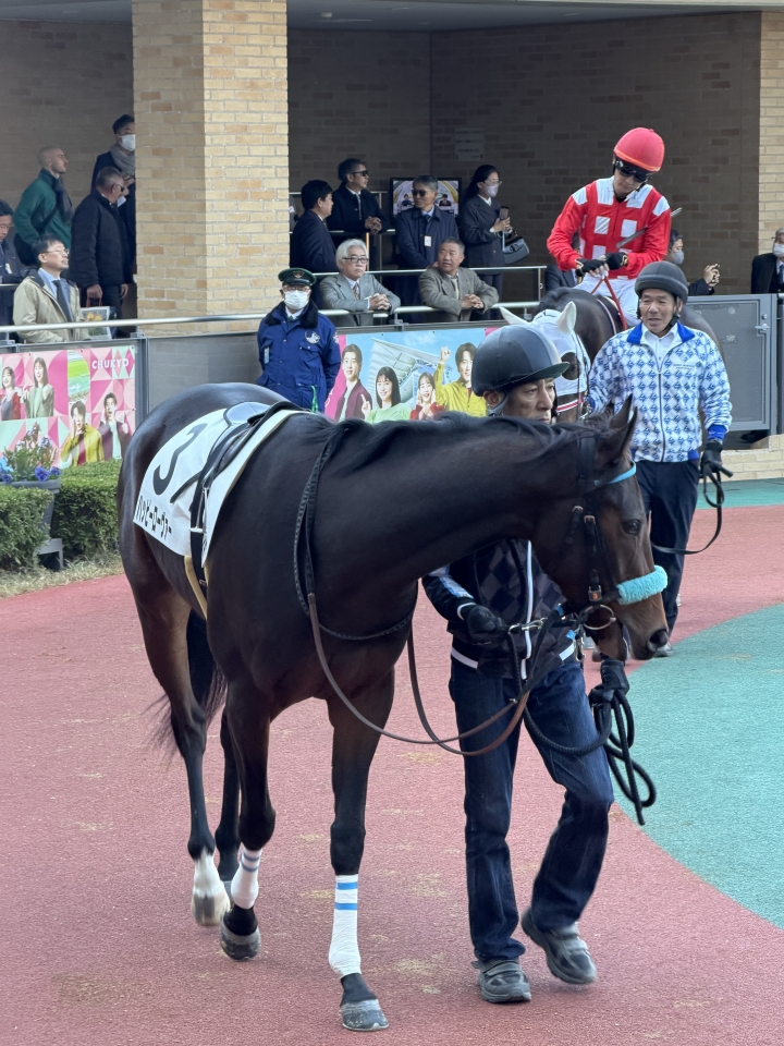 2025/12/7 2歳未勝利 ハッピーローヴァー