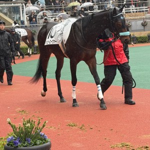 2025/12/21 2歳未勝利