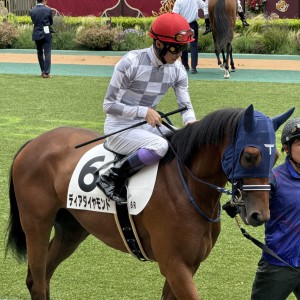 2025/6/8 2歳新馬