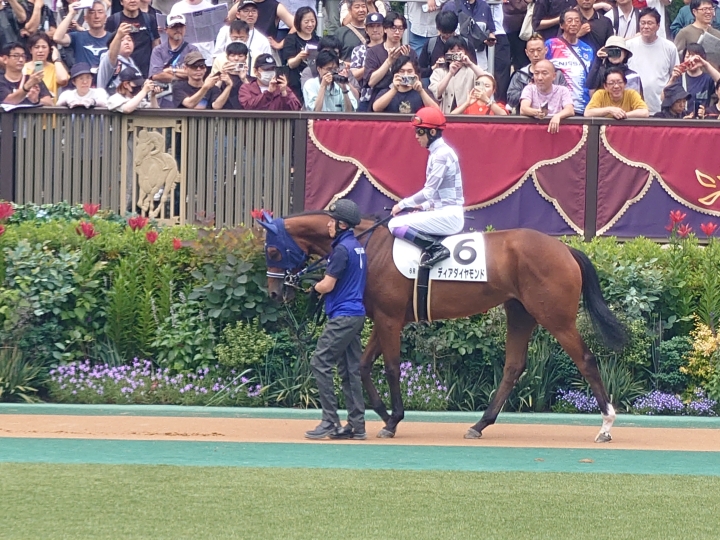 2025年6月8日 新馬戦 ディアダイヤモンド