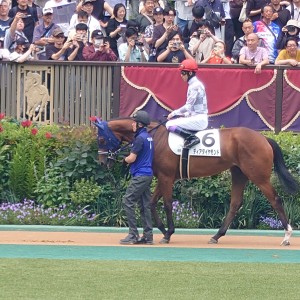 2025年6月8日 新馬戦