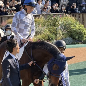 2025/11/15 2歳新馬(牝)