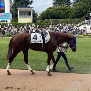 初芝レースに挑むも…(T . T)